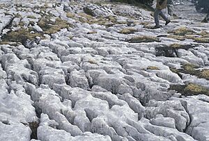 Archivo:Karst Dent-de-Crolle-8