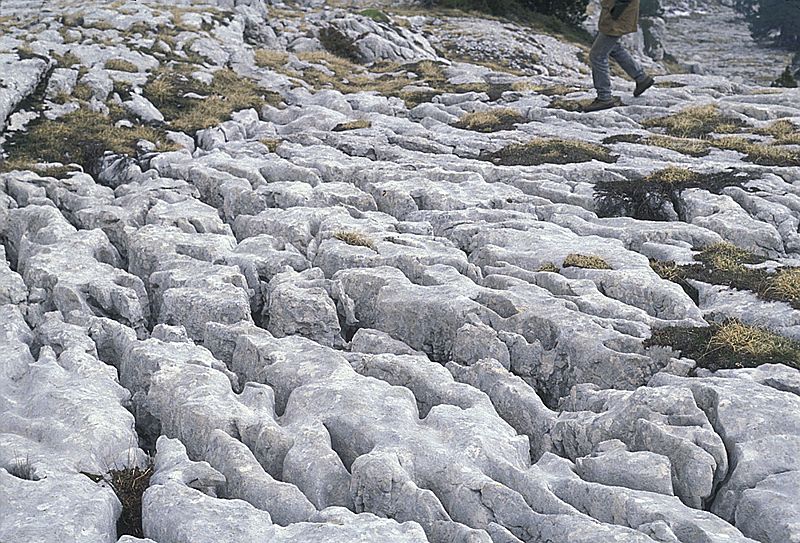 Karst Dent-de-Crolle-8