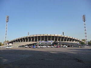 Archivo:Krasnoyarsk Central Stadium