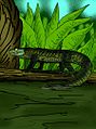 Mekosuchus inexpectans