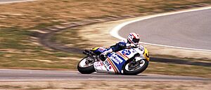 Archivo:Mick Doohan