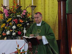 Archivo:Monseñor Pietro Parolin, 2012