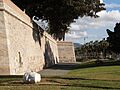 Muralla de Carlos III (Muralla del Mar)