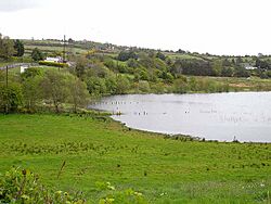 North-west corner of Lough Gowna - geograph.org.uk - 1302731.jpg