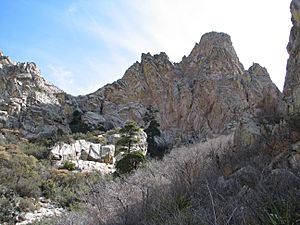 Archivo:Organ Needle