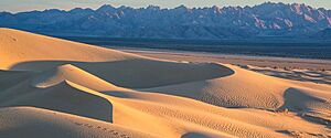 Archivo:Photo of Mojave Trails National Monument