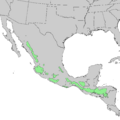 Pinus oocarpa range map 1
