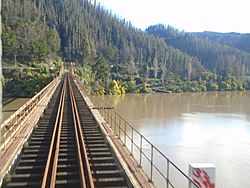 Archivo:Puente ferroviario sobre el río Maule en Constitución.