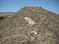 Restos castillo almayate (3)