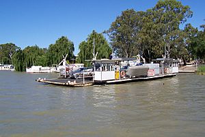 Archivo:Small Mannum Ferry