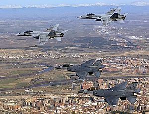Archivo:Spanish Air Force EF-18 and USAF F-16 DF-SD-03-10957
