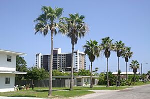 Archivo:Street Scene South Padre Island Texas