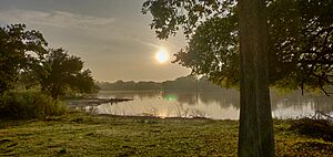 Archivo:Sunrise at udawalawa
