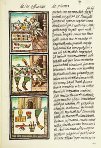 The Florentine Codex- Feather Painters II