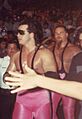The Hart Foundation Tag Team