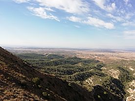 Archivo:TorrazaDeFarletePaisaje