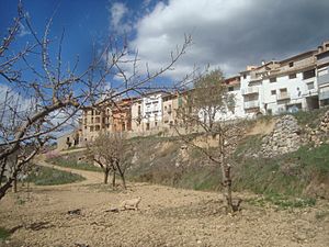 Archivo:Torre de Arcas, panorámica