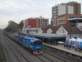 Archivo:Tren de cargas, a su paso por la estación Caseros del Ferrocarril San Martín.