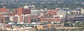 UA campus from downtown.JPG