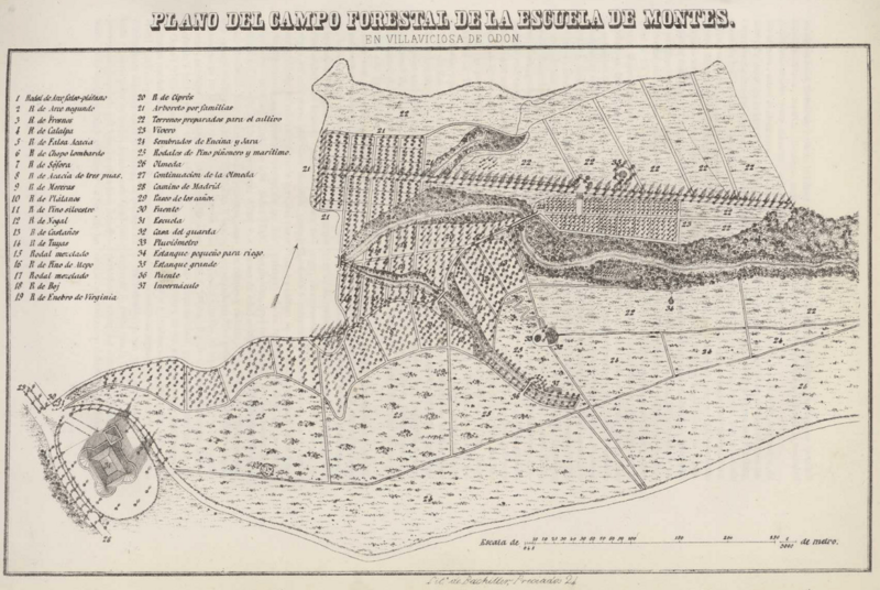 Villaviciosa 3