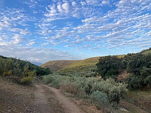 Archivo:Vista del valle de Dehesilla en inicios del verano