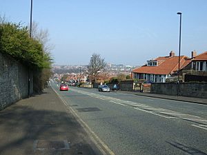 Archivo:West Road (A186) - geograph.org.uk - 4421551