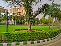 AIIMS New Delhi Building