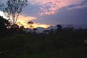 Archivo:Amanecer piamonte