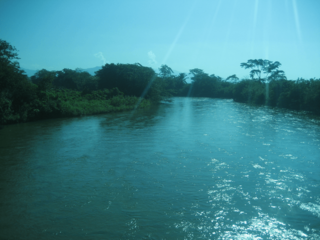 Ariguaniriver.png