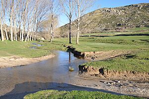 Archivo:Arroyo del Guijo