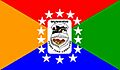 Bandera de Pedro Juan Caballero