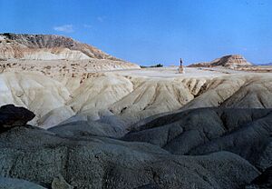 Archivo:Bardenas Reales5