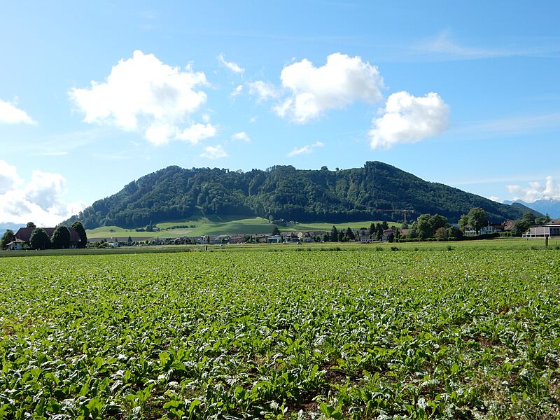 Belpberg von Norden gesehen