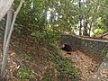 Bosque del Adelantado 5