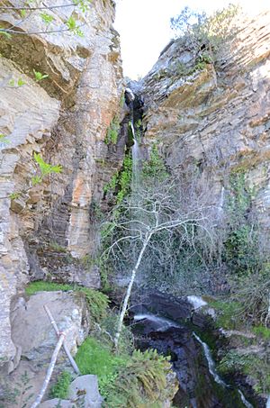 Archivo:Cascada del Pinero