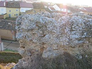 Archivo:Castillo de Castrillo de Villavega 011