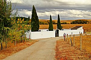 Archivo:Cementerio de Portillo (Éjeme)