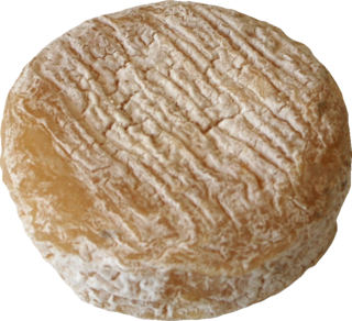 Cheese-picodon.png