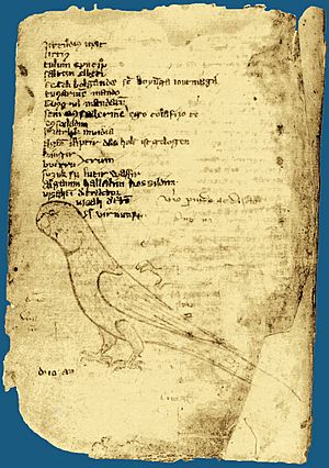 Archivo:Codex Cumanicus 58