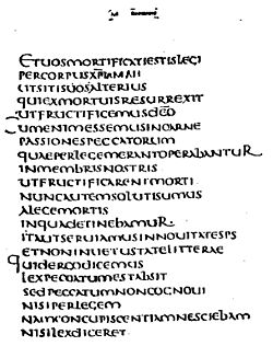 Archivo:Codex claromontanus latin (The S.S. Teacher's Edition-The Holy Bible - Plate XXVIII)