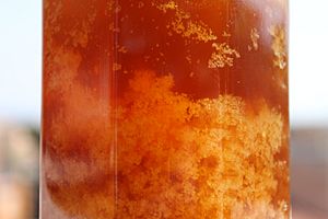 Archivo:Cristallizzazione del miele IMG 0373