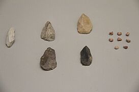 Cueva de las Caldas (09).jpg