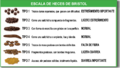 Escala de Bristol.1