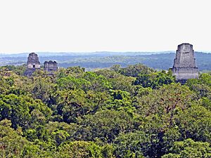 Archivo:Flickr - archer10 (Dennis) - Guatemala-1537