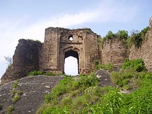 Archivo:Gate of Pharwala Fort toward the Swaan stream