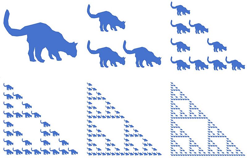 GatoAzul