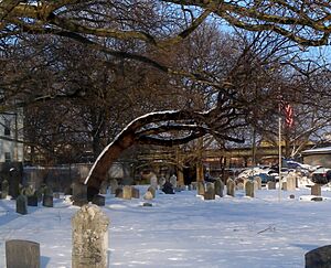 Archivo:Gravesend Cemetery snow jeh