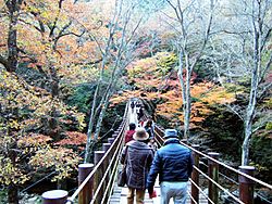 Archivo:Hananuki valley Shiomi-taki bridge