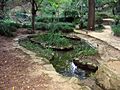 Jardín Botánico Histórico
