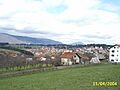 Knezevo124